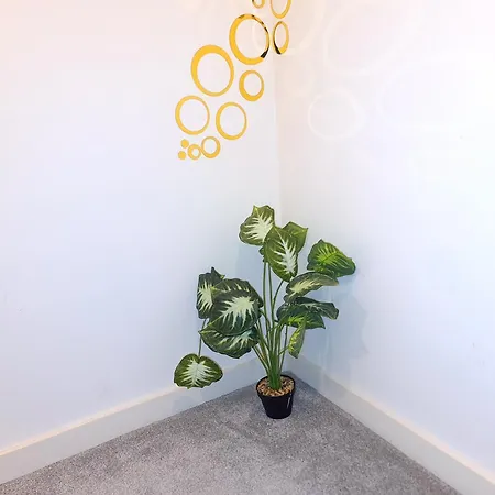 4beds, 2 Bedrooms Contractor,parking