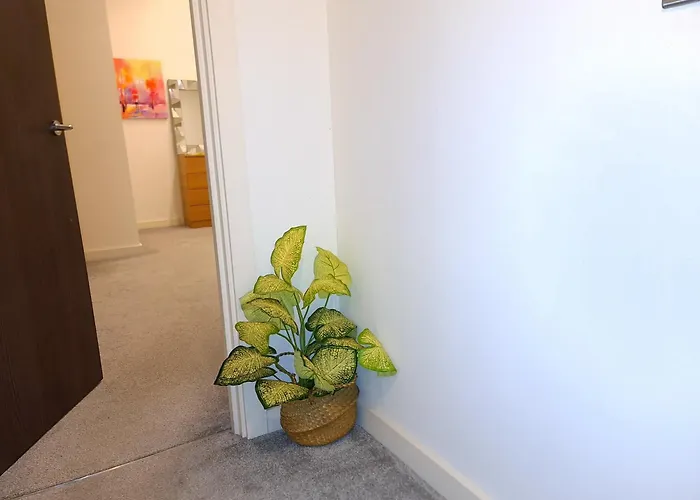 4beds, 2 Bedrooms Contractor,parking Apartment *